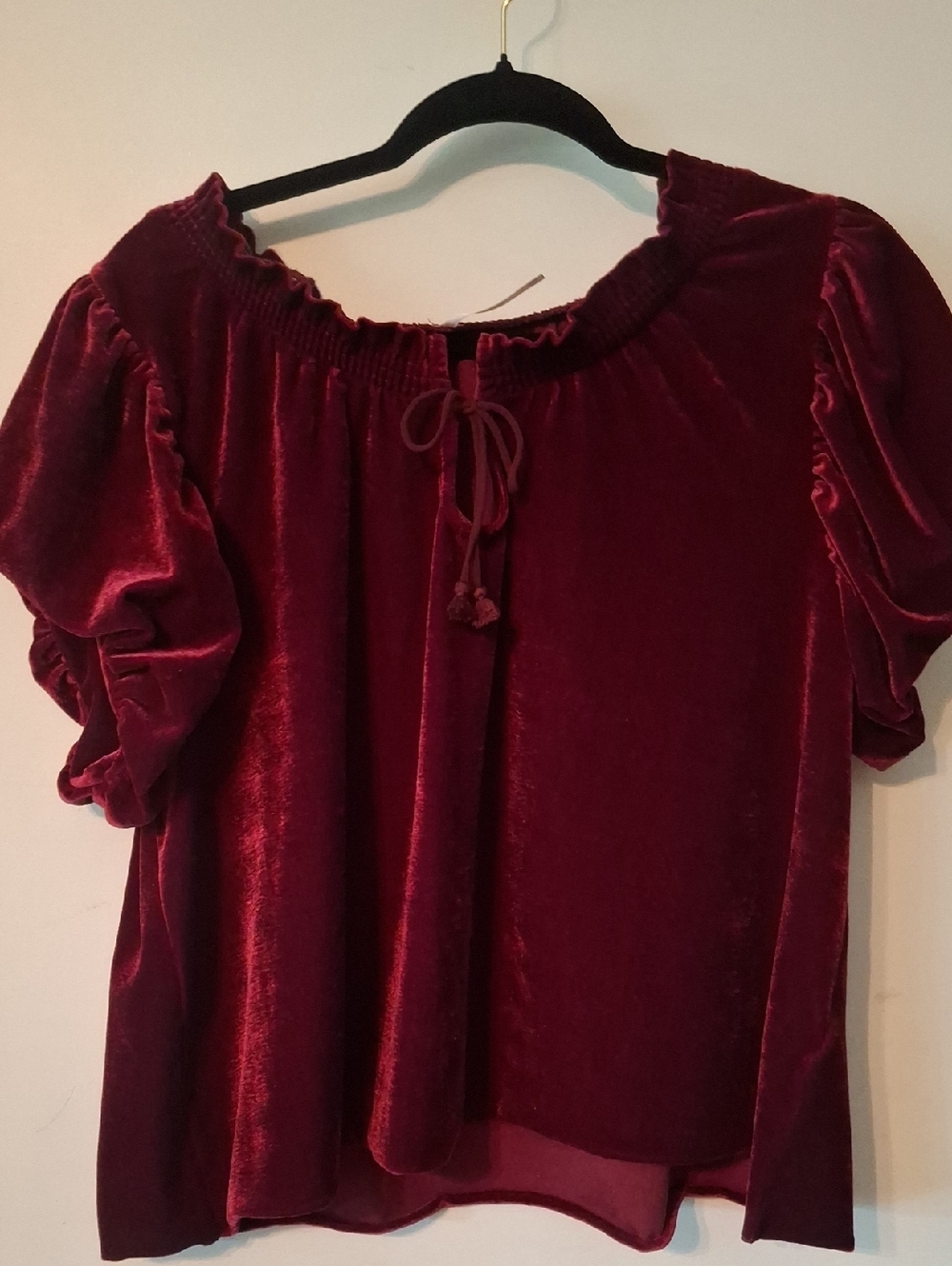 Free People Velvet Peasant Blouse - Wine XL